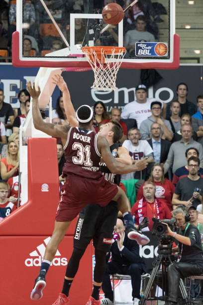 区的美洲虎 区的美洲虎